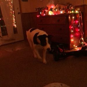 Meet your Posher, Michele